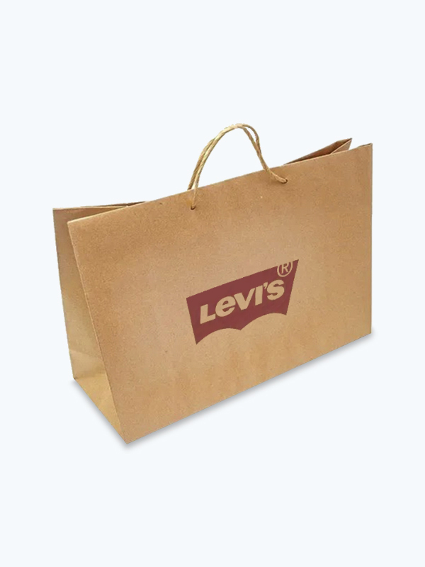 Bolsa de Papel Kraft de 23 x 15 x 9 cm (100 pz)